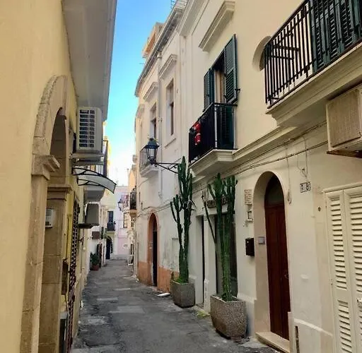度假居 Casa Centro Storico 加利波利